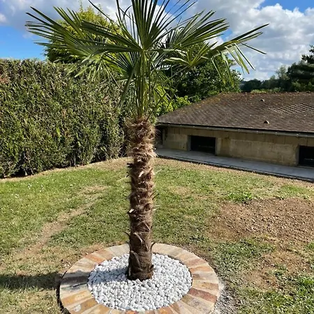 Apartman De Celestine