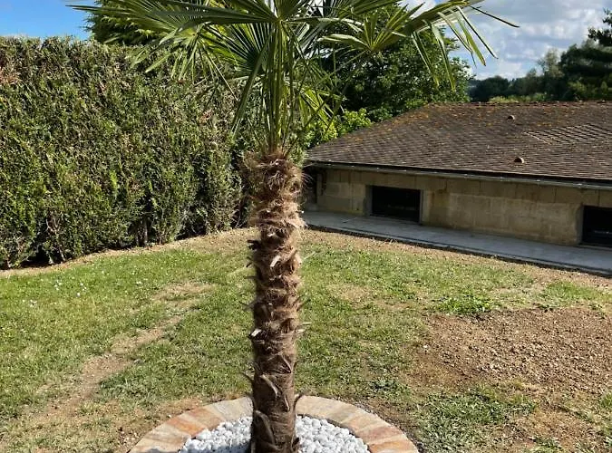 Apartment De Celestine